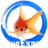 AquaExpose Footer Logo