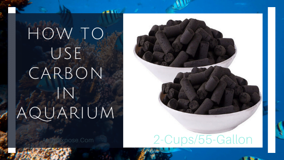 How to Use Activated Carbon in Aquarium