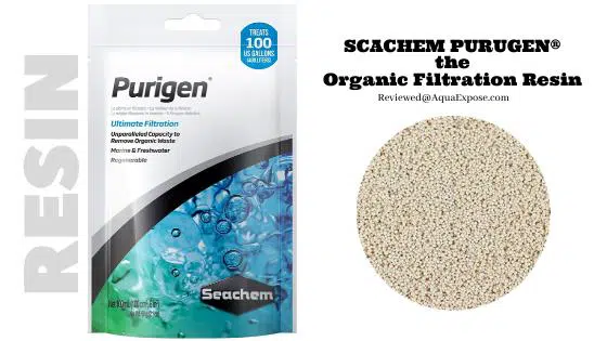 Seachem Purigen Review [A Highly Effective Mechanical Filtration Media] -  AquaExpose