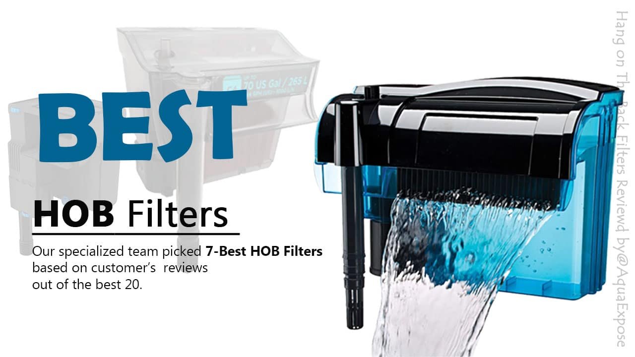Best HOB filters for Aquarium