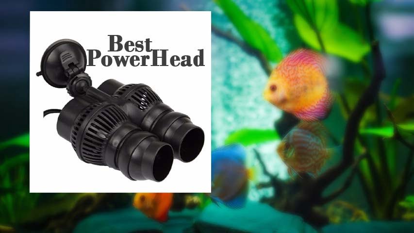 best-aquarium-powerhead-review