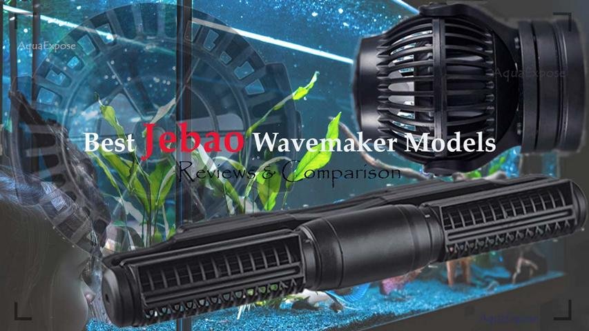 best jebao-wavemaker-reviews-and-comparison