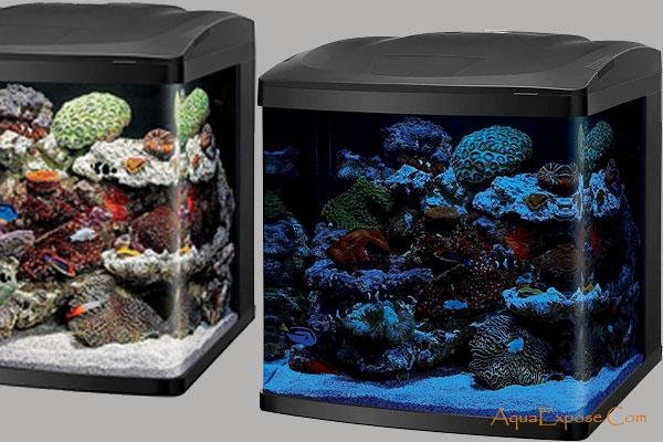 Best Nano Reef Tanks