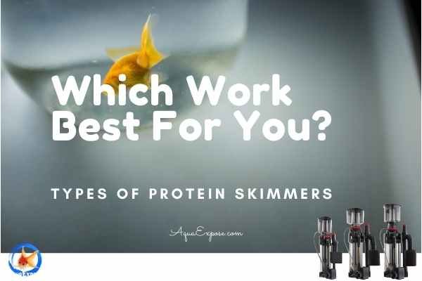 Types Of Protein Skimmers