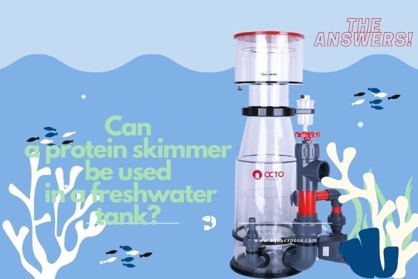 Can a protein skimmer be used in a freshwater tank