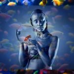 Mental Health Benefits of Keeping Colorful fish